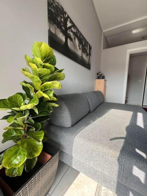 Maria'S Sunlit Apartment Piraeus Buitenkant foto
